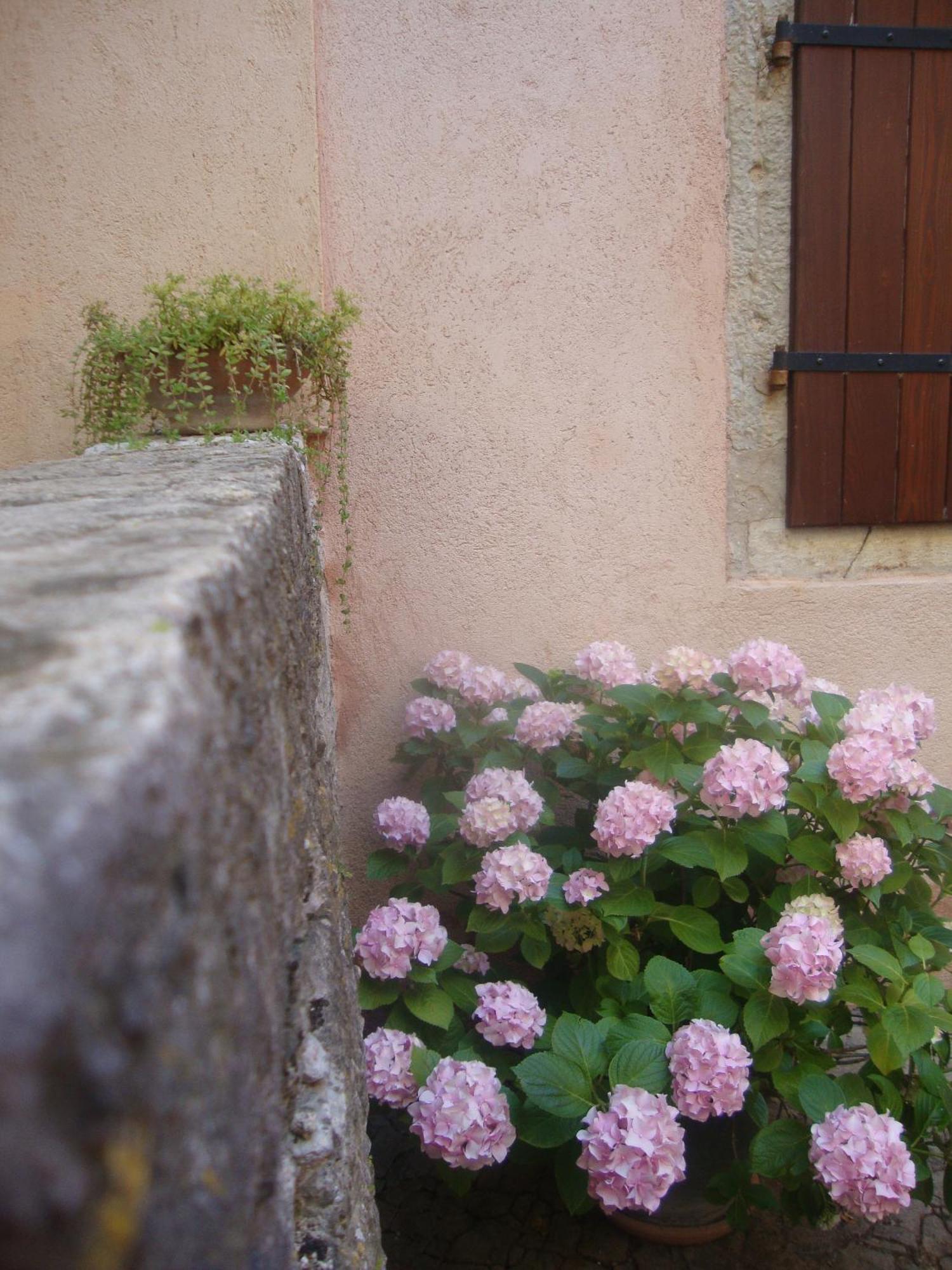 Bed & Breakfast Antico Motovun Eksteriør billede