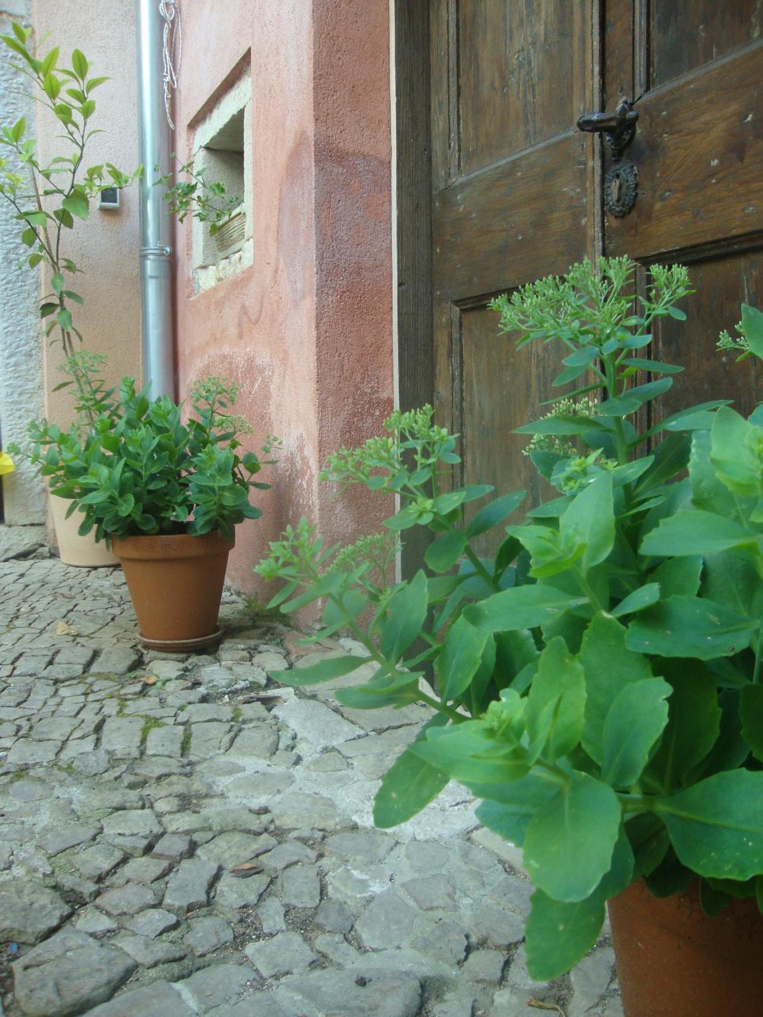 Bed & Breakfast Antico Motovun Eksteriør billede