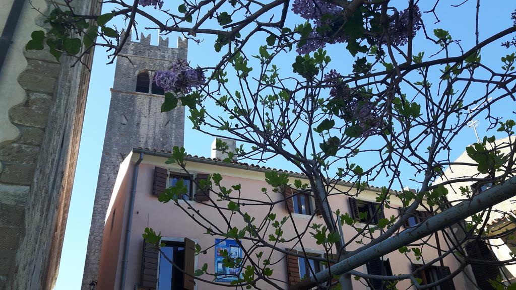 Bed & Breakfast Antico Motovun Eksteriør billede