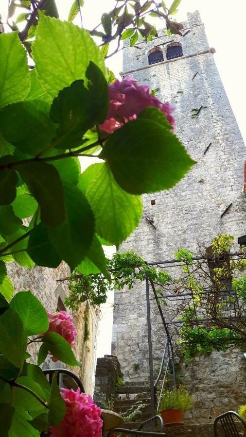 Bed & Breakfast Antico Motovun Eksteriør billede